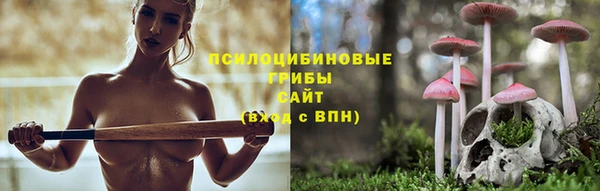 ПСИЛОЦИБИНОВЫЕ ГРИБЫ Алексин