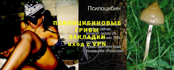 ПСИЛОЦИБИНОВЫЕ ГРИБЫ Алексин