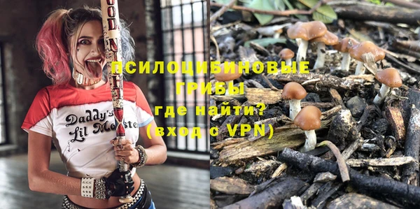 ПСИЛОЦИБИНОВЫЕ ГРИБЫ Алексин
